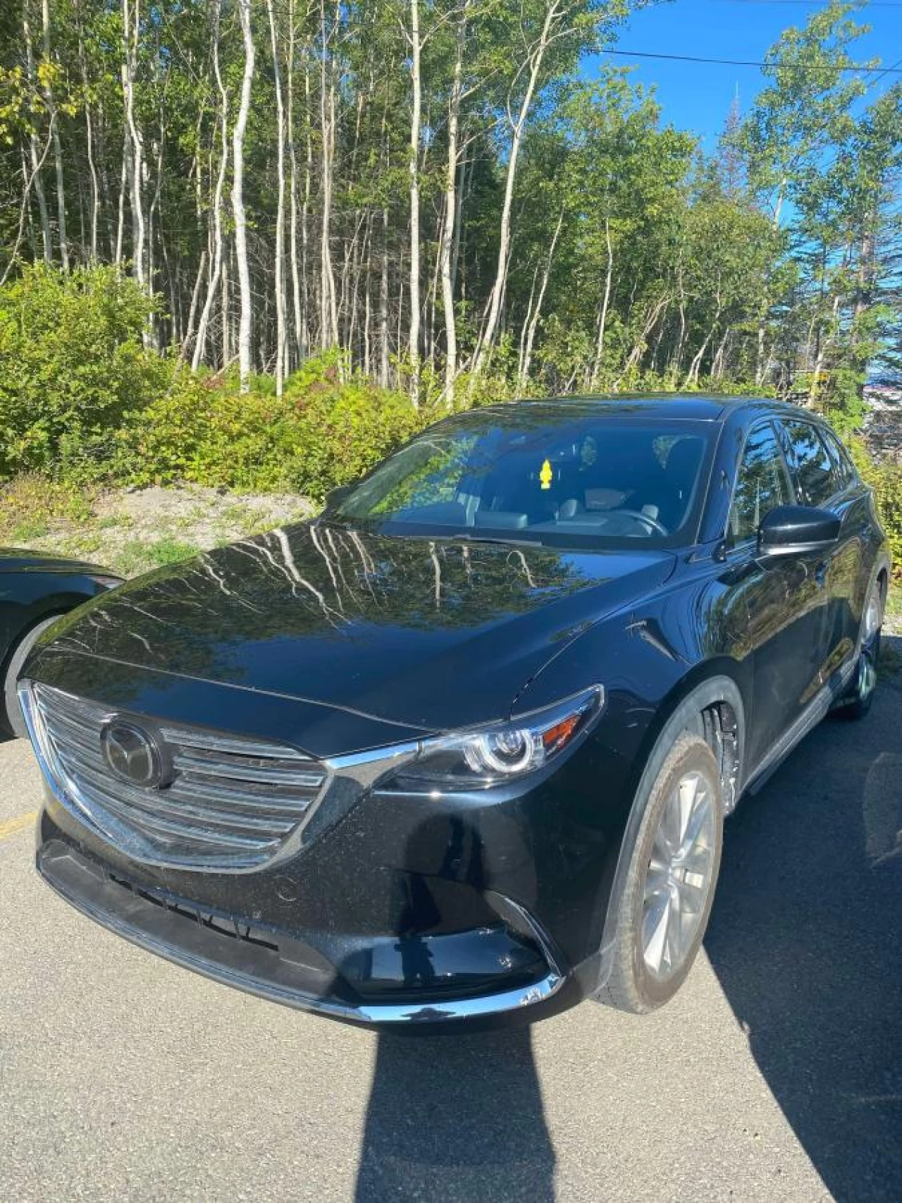 2019 Mazda CX-9 GT AWD Image principale