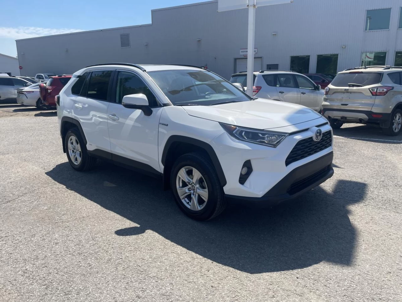 2020 Toyota RAV4 Hybrid Hybrid XLE AWD Main Image