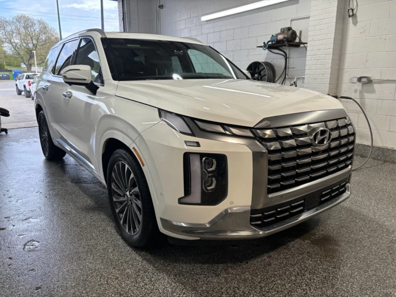 2024 Hyundai Palisade Ultimate Calligraphy Main Image